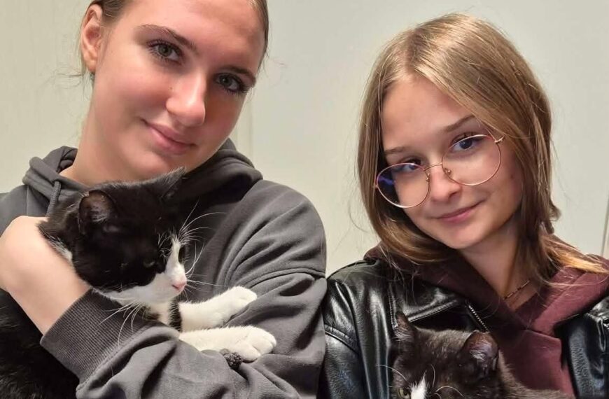 Adoptuj zwierzęta Schronisko dla bezdomnych zwierząt w Ostródzie
