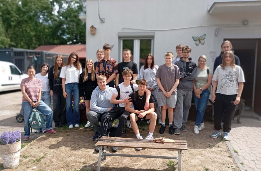 Adoptuj zwierzęta Schronisko dla bezdomnych zwierząt w Ostródzie