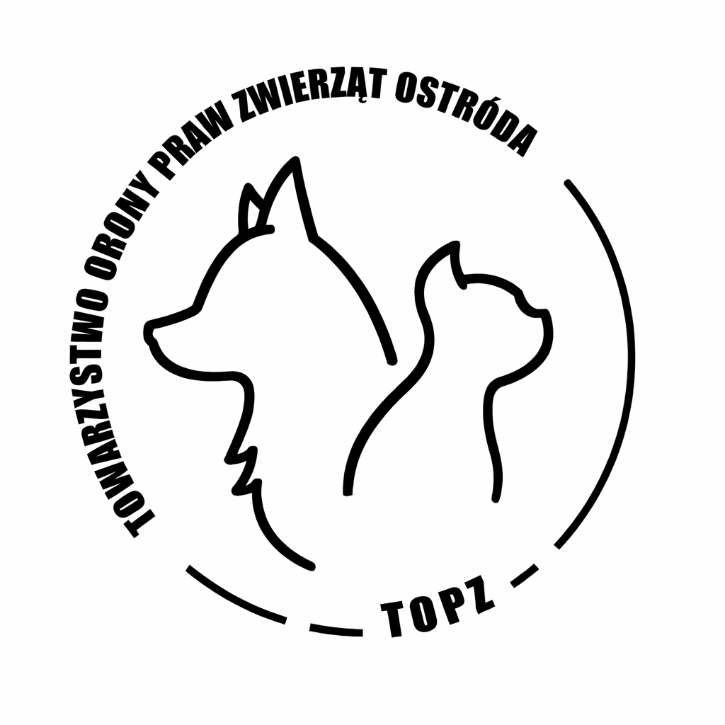 Adoptuj zwierzęta Schronisko dla bezdomnych zwierząt w Ostródzie