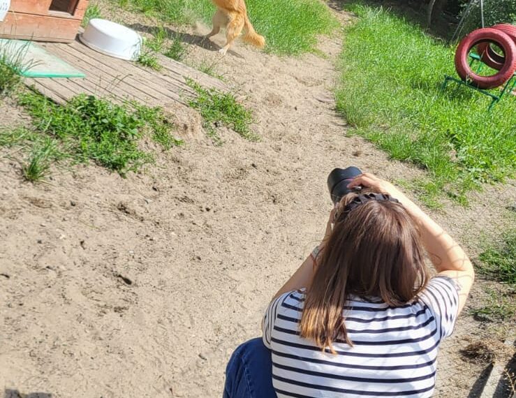 Sesja zdjęciowa w schronisku.